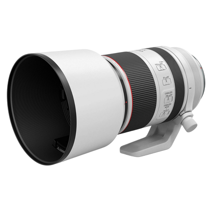 Canon RF 70-200mm F2.8 L IS USM Lens.