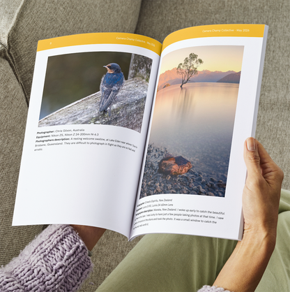 Collective Magazine May 2026 Issue