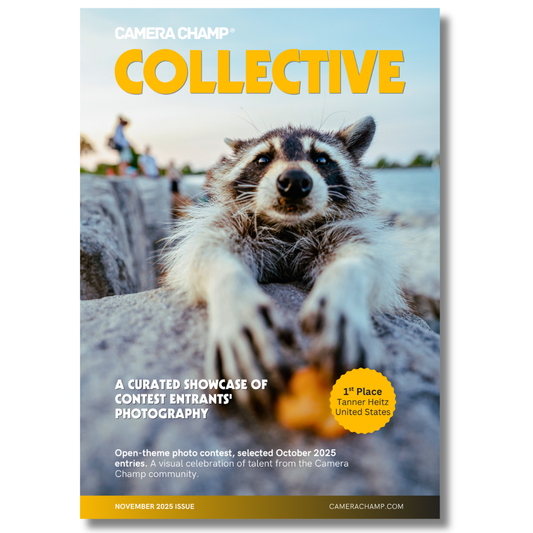 Camera Champ Collective - Issue 7 - November 2025. Buy now.