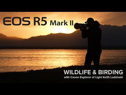 Canon R5 II Pro Hybrid Kit