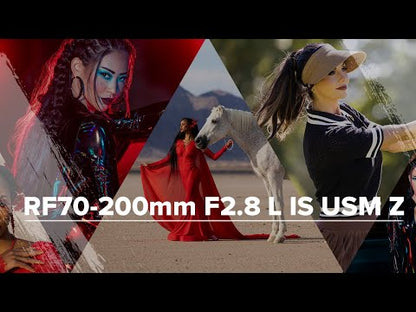 Ultimate Lens Collection
